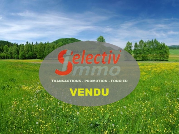 Offres de vente Terrain Luzinay (38200)